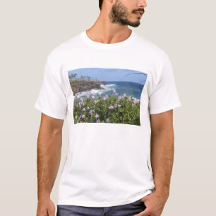 Camiseta EE. UU., Hawái, Kauai, cerca de Kapaa, noroeste