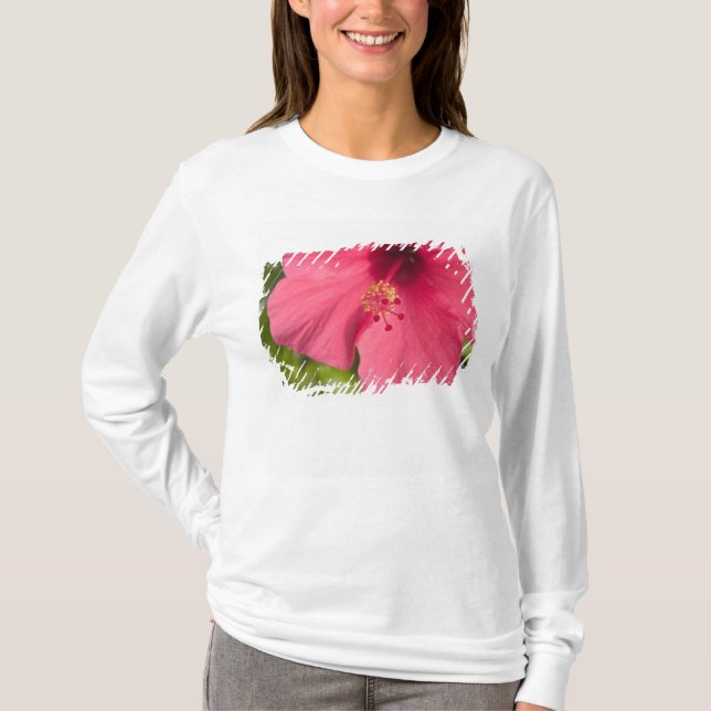Camiseta EE. UU., Hawái, Kauai, Hibisco (Anverso)