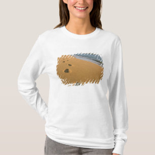 Camiseta EE. UU., Hawái, Kauai, Kapa'a, frente a la playa.