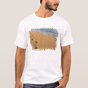 Camiseta EE. UU., Hawái, Kauai, Kapa'a, frente a la playa.