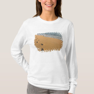 Camiseta EE. UU., Hawái, Kauai, Kapa'a, frente a la playa.