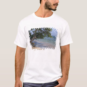 Camiseta EE. UU., Hawái, Kauai, paisaje de playa. RF)