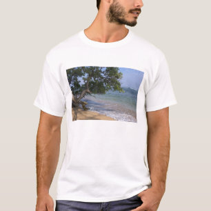 Camiseta EE. UU., Hawái, Kauai, playa escénica. RF)