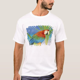 Camiseta EE. UU., Hawái. Loro