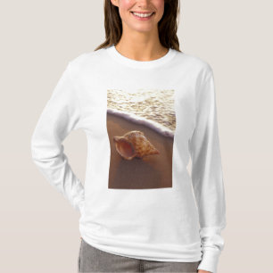 Camiseta EE. UU., Hawái, Maui, Kihei, Luz de la tarde en