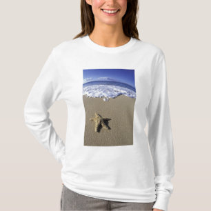 Camiseta EE. UU., Hawái, Maui, Makena Beach, Estrella de ma