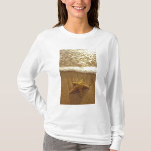 Camiseta EE. UU., Hawái, Maui, Maui, Kihei, Estrella de mar