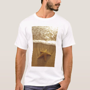 Camiseta EE. UU., Hawái, Maui, Maui, Kihei, Estrella de mar