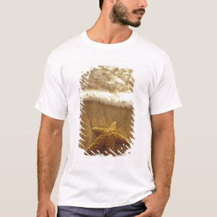 Camiseta EE. UU., Hawái, Maui, Maui, Kihei, Estrella de mar