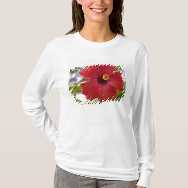 Camiseta EE. UU., Hawái, Oahu. El Hibisco es el (Anverso)