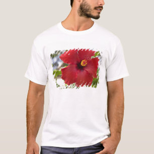 Camiseta EE. UU., Hawái, Oahu. El Hibisco es el