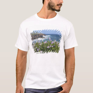 Camiseta EE.UU., Hawaii, Kauai, cerca de Kapaa, noroeste