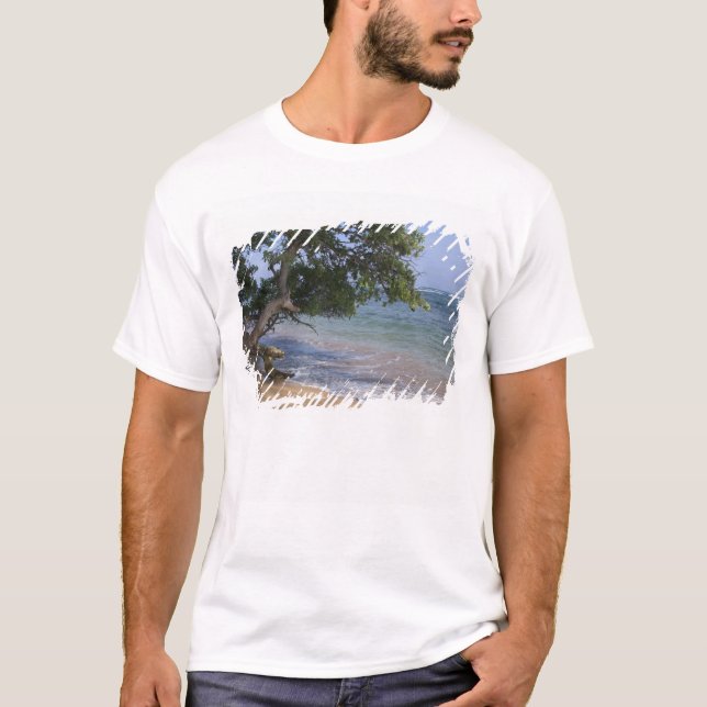 Camiseta EE.UU., Hawaii, Kauai, paisaje de playa. RF) (Anverso)