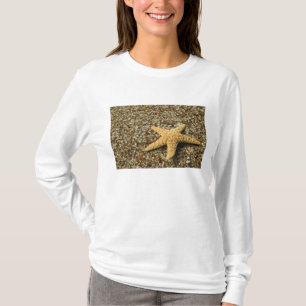 Camiseta EE. UU., HI, Kauai, Glass Beach con estrella de ma