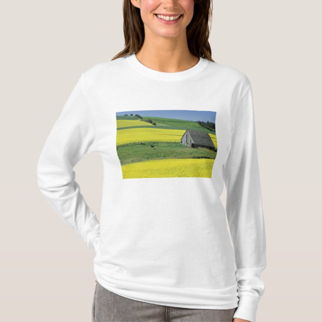 Camiseta EE. UU., Idaho, cerca de Potlatch, Canola y antigu (Anverso)