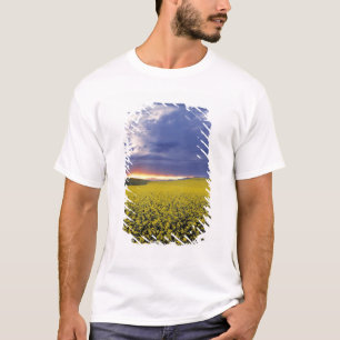 Camiseta EE. UU., Idaho, Swan Valley. Una puesta de sol ard