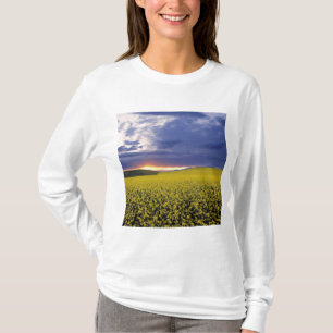 Camiseta EE. UU., Idaho, Swan Valley. Una puesta de sol ard