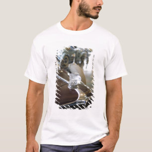 Camiseta EE. UU., Indiana, Auburn: Auburn, Cord, Duesenberg