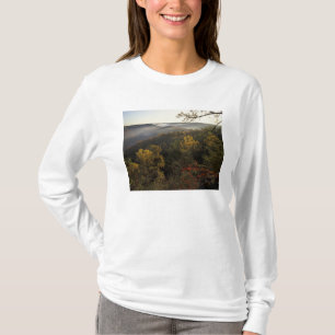 Camiseta EE. UU., Kentucky. Bosque Nacional Daniel Boone.