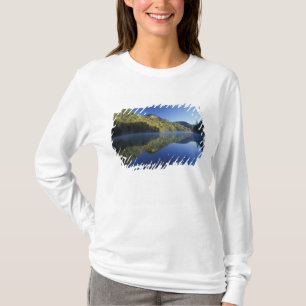 Camiseta EE. UU., Kentucky. Bosque Nacional Daniel Boone,