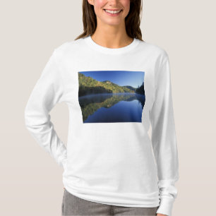 Camiseta EE.UU., Kentucky. Bosque Nacional Daniel Boone,