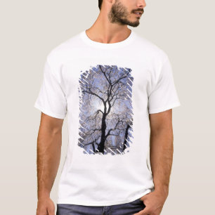 Camiseta EE.UU., Kentucky, Lexington. Árbol iluminado y