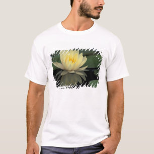 Camiseta EE. UU., Kentucky, lirio de agua doméstico de Loui