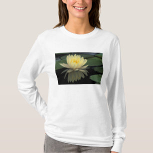 Camiseta EE. UU., Kentucky, lirio de agua doméstico de Loui
