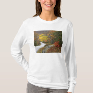 Camiseta EE. UU., Maine, Camden. Carretera que atraviesa Ca