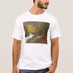 Camiseta EE.UU., Maine, Camden. Carretera que atraviesa Cam