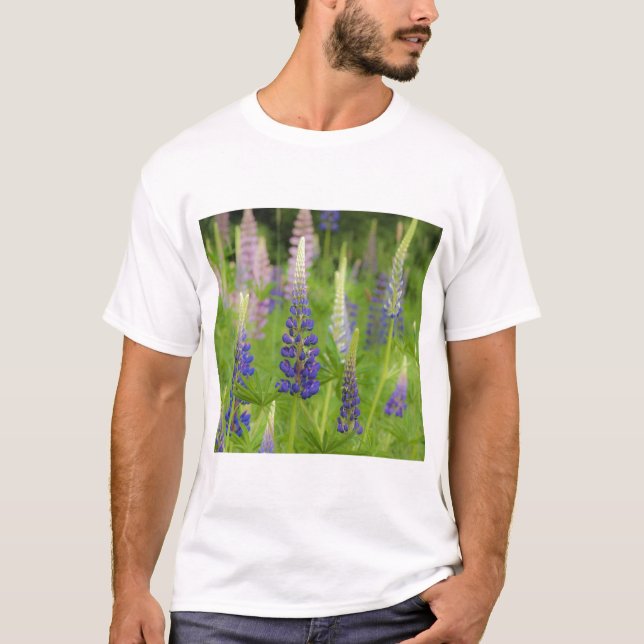 Camiseta EE.UU., Maine, Parque Nacional Acadia. Campo de (Anverso)