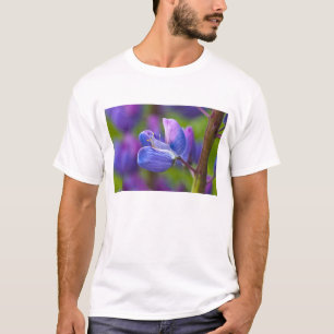 Camiseta EE. UU., Maine, Parque Nacional Acadia. Primer pla