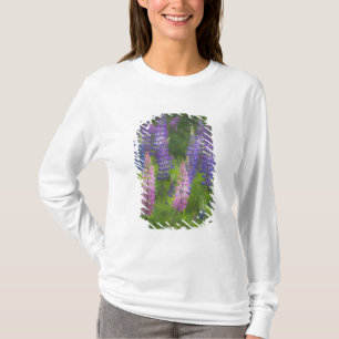 Camiseta EE. UU., Maine, Southwest Harbor. Lupino en flor