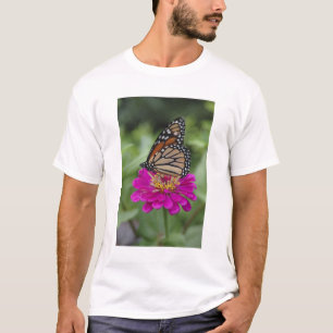 Camiseta EE. UU., Massachusetts, Boylston, Tower Hill