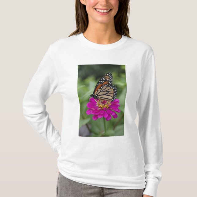Camiseta EE. UU., Massachusetts, Boylston, Tower Hill (Anverso)