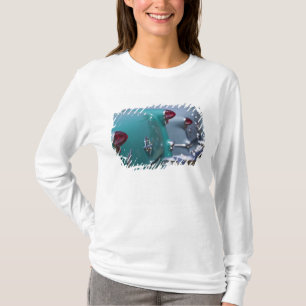 Camiseta EE. UU., Massachusetts, Gloucester. Años 50