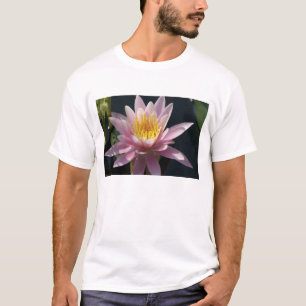 Camiseta EE. UU., Massachusetts, Great Barrington, hoja de 