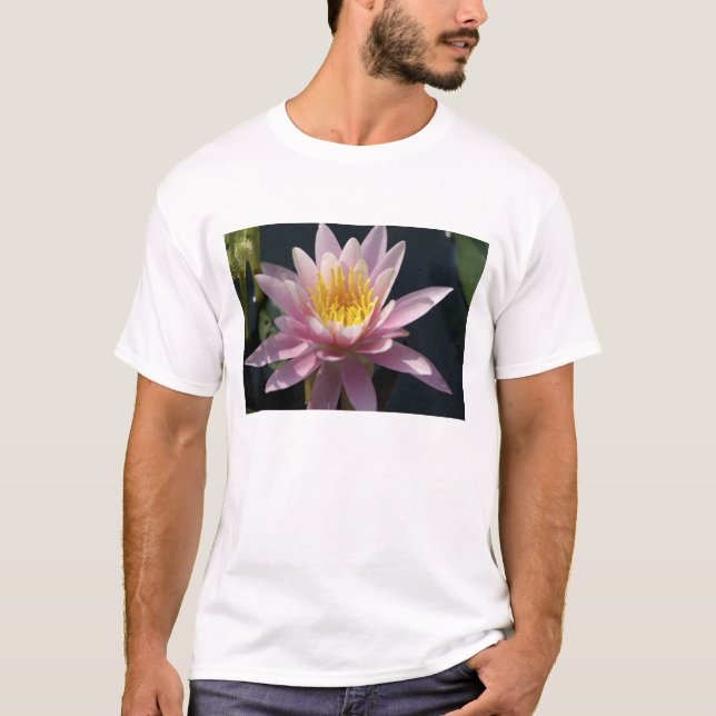 Camiseta EE. UU., Massachusetts, Great Barrington, hoja de  (Anverso)