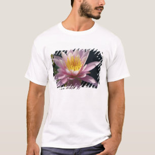 Camiseta EE.UU., Massachusetts, Great Barrington, lily pad