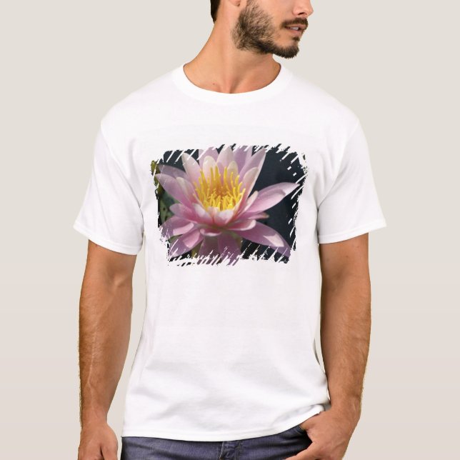 Camiseta EE.UU., Massachusetts, Great Barrington, lily pad (Anverso)