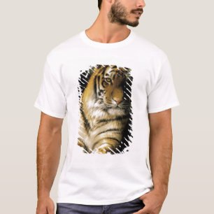 Camiseta EE. UU., Michigan, Detroit. Zoológico de Detroit,