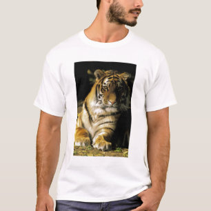 Camiseta EE. UU., Michigan, Detroit. Zoológico de Detroit,