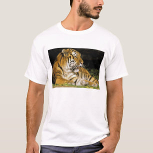 Camiseta EE. UU., Michigan, Detroit. Zoológico de Detroit, 