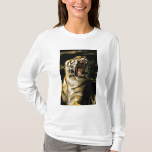 Camiseta EE. UU., Michigan, Detroit. Zoológico de Detroit,