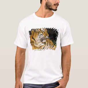Camiseta EE. UU., Michigan, Detroit. Zoológico de Detroit, 