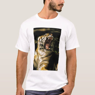 Camiseta EE. UU., Michigan, Detroit. Zoológico de Detroit,