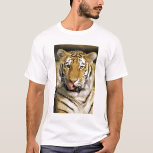 Camiseta EE. UU., Michigan, Detroit. Zoológico de Detroit,