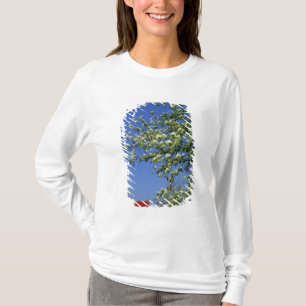 Camiseta EE. UU., Michigan, East Tawas. Faro de Tawas con