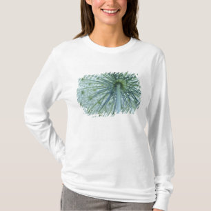 Camiseta EE. UU., Michigan. Encaje de la Reina Ana visto de