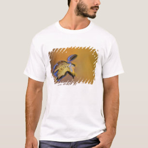 Camiseta EE. UU., Michigan, Hoja de arce flotando en el agu